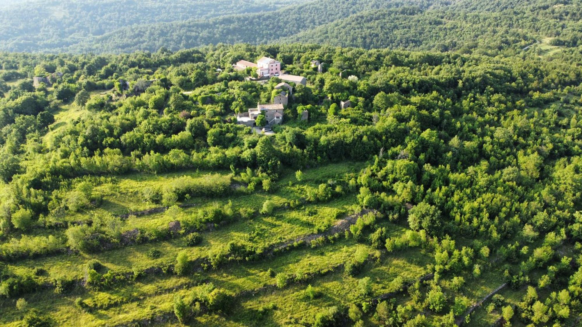Casa Del Conte - Peaceful Hideaway In North Istria Vila Grožnjan Exterior foto
